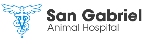 San Gabriel Animal Hospital